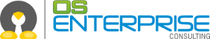 OPEN SOURCE ENTERPRISE S.A.C